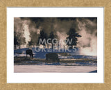 American Bison, Wyoming (Framed) -  Art Wolfe - McGaw Graphics
