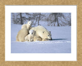 Time Out (Framed) -  Art Wolfe - McGaw Graphics