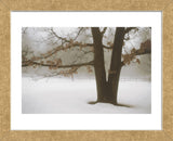 Tranquility  (Framed) -  David Lorenz Winston - McGaw Graphics