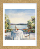 Summer Patio  (Framed) -  David Weiss - McGaw Graphics