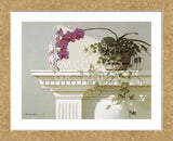 Mantelpiece Orchid (Framed) -  Zhen-Huan Lu - McGaw Graphics