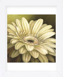 Daisy Portrait (Framed) -  Lisa Audit - McGaw Graphics