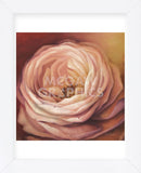 Rose Portrait (Framed) -  Lisa Audit - McGaw Graphics