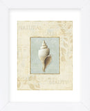 Soothing Words Shells I (Framed) -  Lisa Audit - McGaw Graphics