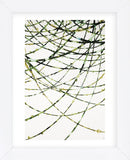 Moss Vine (Framed) -  Candice Alford - McGaw Graphics