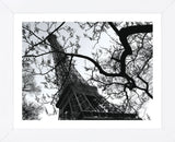 Eiffel III (Framed) -  Tom Artin - McGaw Graphics