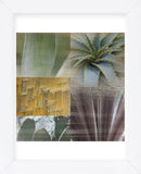 Desert Gaze (Framed) -  Sidney Aver - McGaw Graphics