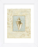 Soothing Words Shells III (Framed) -  Lisa Audit - McGaw Graphics