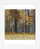 Autumn Wood  (Framed) -  Timothy Arzt - McGaw Graphics