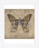 Leopard Butterfly  (Framed) -  Jennette Brice - McGaw Graphics