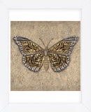 Tiger Butterfly  (Framed) -  Jennette Brice - McGaw Graphics