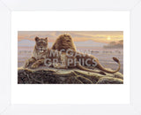Lions of the Mara  (Framed) -  Kalon Baughan - McGaw Graphics