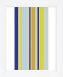 Kiwi Stripe (Framed) -  Dan Bleier - McGaw Graphics