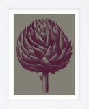 Artichoke (grey-plum) (Framed) -  Botanical Series - McGaw Graphics