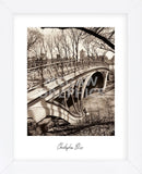 Central Park Bridges 3 (Framed) -  Chris Bliss - McGaw Graphics