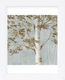 Birch Study I (Framed) -  Daphné B - McGaw Graphics