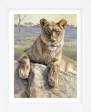 Serengeti Lioness  (Framed) -  Kalon Baughan - McGaw Graphics