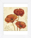 Poppy Bouquet II (Framed) -  Daphné B - McGaw Graphics