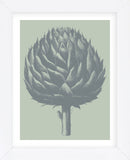 Artichoke 8 (Framed) -  Botanical Series - McGaw Graphics