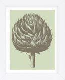 Artichoke 11 (Framed) -  Botanical Series - McGaw Graphics