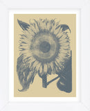 Sunflower 1 (Framed) -  Botanical Series - McGaw Graphics