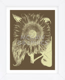 Sunflower 3 (Framed) -  Botanical Series - McGaw Graphics