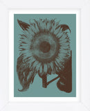 Sunflower 5 (Framed) -  Botanical Series - McGaw Graphics