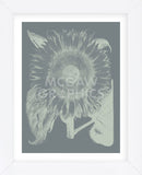 Sunflower 7 (Framed) -  Botanical Series - McGaw Graphics