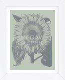Sunflower 8 (Framed) -  Botanical Series - McGaw Graphics