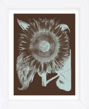 Sunflower 17 (Framed) -  Botanical Series - McGaw Graphics