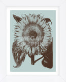 Sunflower 18 (Framed) -  Botanical Series - McGaw Graphics