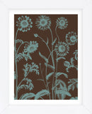 Chrysanthemum 6 (Framed) -  Botanical Series - McGaw Graphics