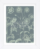 Chrysanthemum 7 (Framed) -  Botanical Series - McGaw Graphics