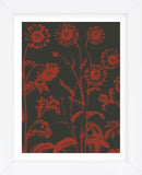 Chrysanthemum 10 (Framed) -  Botanical Series - McGaw Graphics