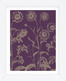 Chrysanthemum 13 (Framed) -  Botanical Series - McGaw Graphics