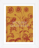 Chrysanthemum 15 (Framed) -  Botanical Series - McGaw Graphics