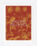 Chrysanthemum 16 (Framed) -  Botanical Series - McGaw Graphics