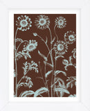 Chrysanthemum 17 (Framed) -  Botanical Series - McGaw Graphics