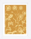 Chrysanthemum 20 (Framed) -  Botanical Series - McGaw Graphics