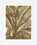 Leaf 4 (Framed) -  Botanical Series - McGaw Graphics