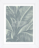 Leaf 8 (Framed) -  Botanical Series - McGaw Graphics