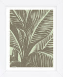 Leaf 11 (Framed) -  Botanical Series - McGaw Graphics