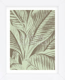 Leaf 12 (Framed) -  Botanical Series - McGaw Graphics