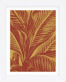 Leaf 15 (Framed) -  Botanical Series - McGaw Graphics