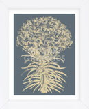 Lilies 2 (Framed) -  Botanical Series - McGaw Graphics