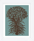 Lilies 5 (Framed) -  Botanical Series - McGaw Graphics
