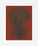 Lilies 9 (Framed) -  Botanical Series - McGaw Graphics
