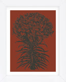 Lilies 9 (Framed) -  Botanical Series - McGaw Graphics
