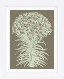 Lilies 12 (Framed) -  Botanical Series - McGaw Graphics