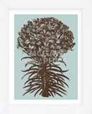 Lilies 18 (Framed) -  Botanical Series - McGaw Graphics